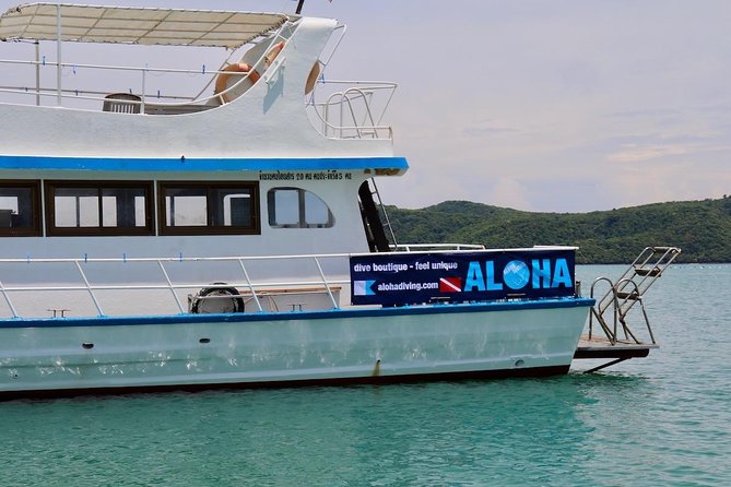 Premium Guided Scuba Diving Day Trip for Certified Divers - Pricing and Guarantee