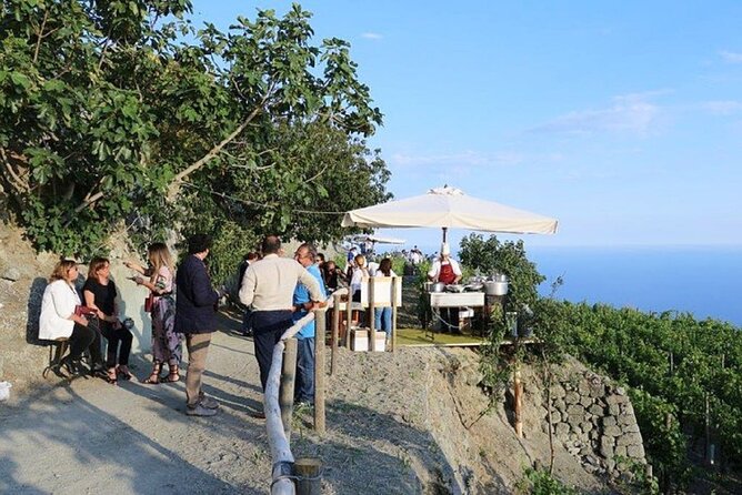 Premium Ischia Wine Tasting Experience With Transfer Included - Inclusions