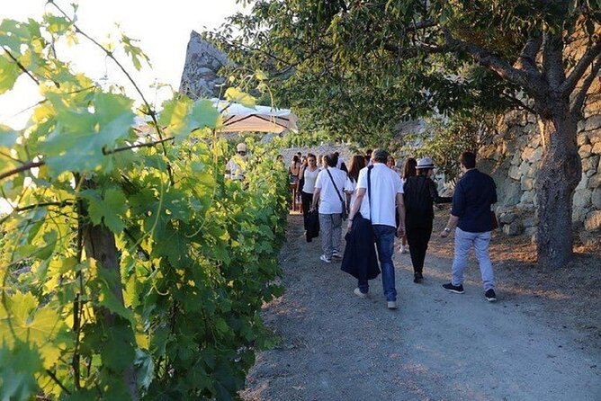 Premium Ischia Wine Tasting Experience With Transfer Included - Tasting the Local Wines
