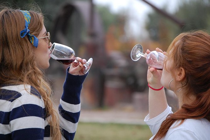 Premium Luján De Cuyo Wine-Tasting Tour in a Small Group - Explore Bodega Ruca Malen