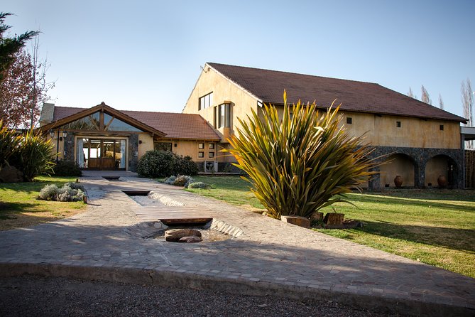Premium Luján De Cuyo Wine-Tasting Tour in a Small Group - Tasting Malbec and More