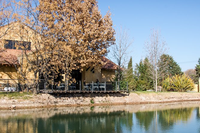 Premium Luján De Cuyo Wine-Tasting Tour in a Small Group - Gourmet Lunch Experience