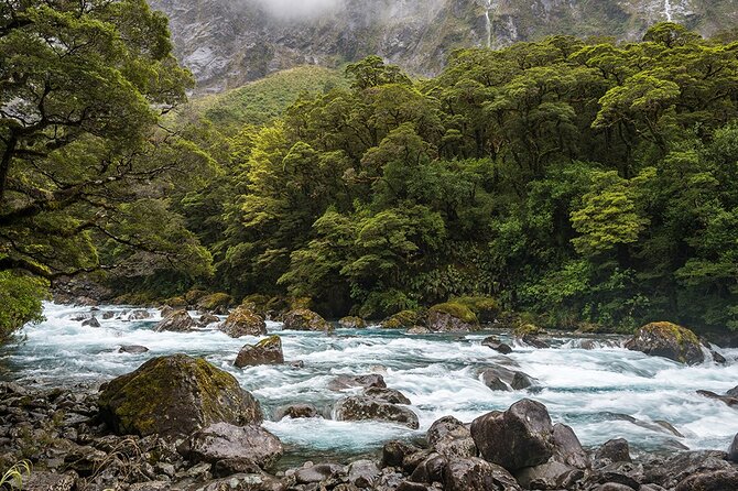 Premium Milford Sound and Te Anau Highlights 2 Days Small Group Tour - Fiordland Experience