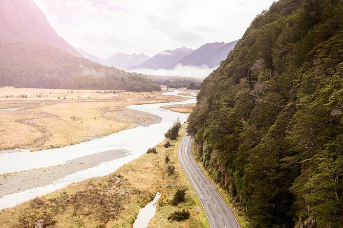 Premium Milford Sound Cruise & Milford Track Walk From Te Anau - The Itinerary in Detail: What to Expect