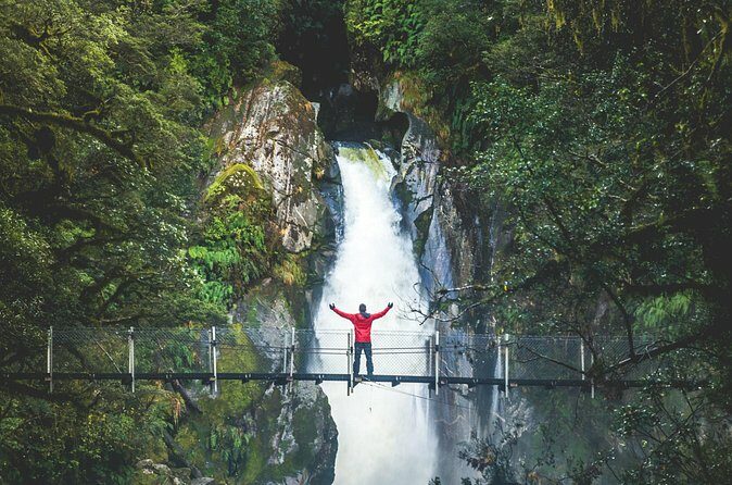 Premium Milford Sound Cruise & Milford Track Walk From Te Anau - Authentic Experiences and Traveler Insights