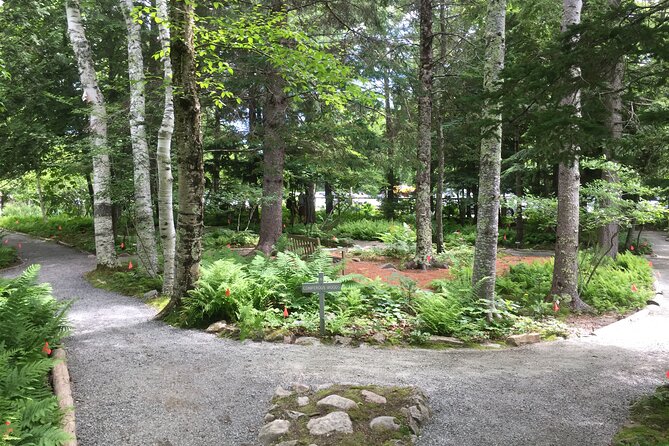 Premium Narrated Bus Tour of Bar Harbor and Acadia National Park (3.5 Hours) - Meeting Point and Transportation