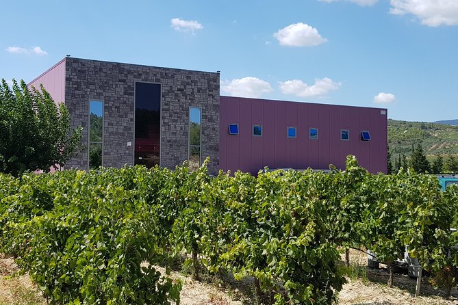 Premium Nemea Wine Tour From Athens, Nafplio or Nemea, With Oenologists - Reviews and Ratings