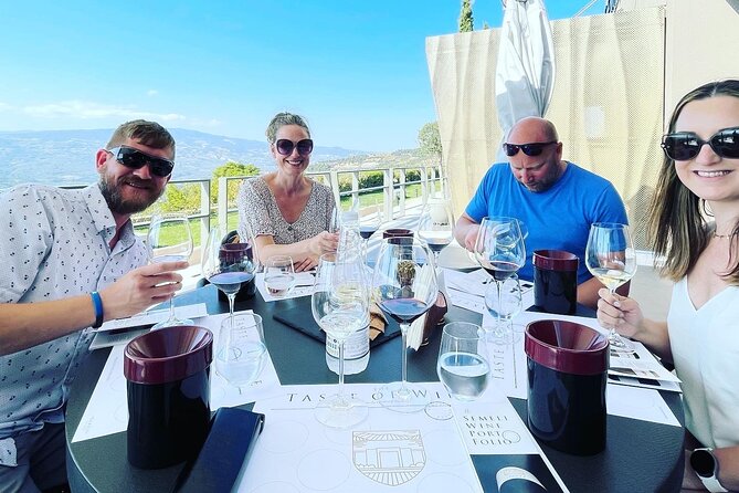 Premium Nemea Wine Tour From Athens, Nafplio or Nemea, With Oenologists - Highlights of the Tour