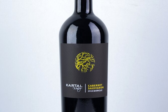 Premium Oak Aged Wines Tasting Tour in Family Winery Kartal in Skopje - Accessibility and Health Considerations