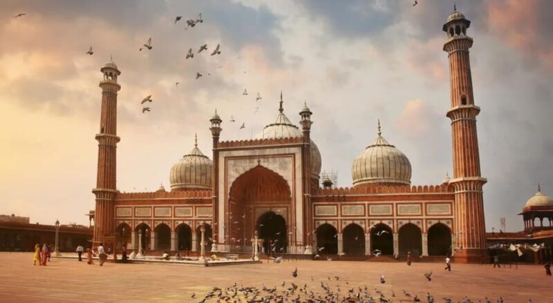Premium: Old & New Delhi Full Day & Half Day Guided Tour - Important Information