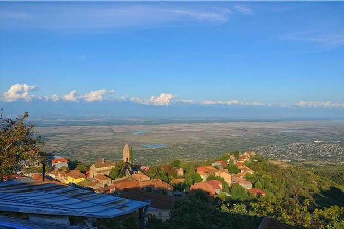 Premium & Organic Wine Tour in Kakheti - Pricing and Availability