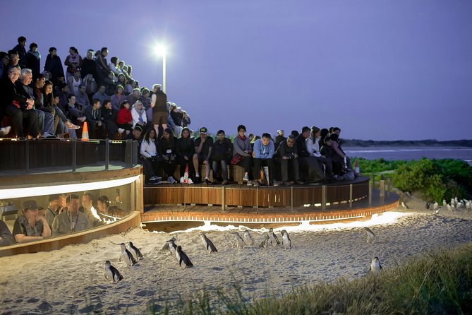 Premium Phillip Island Penguin Parade Tour With Koala Conservation Reserve - Additional Information
