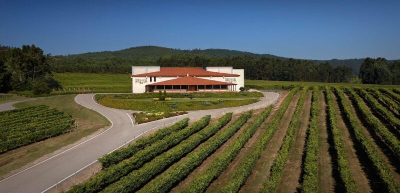 Premium Porto Santiago Compostela Tour Lunch & Wine Tasting - Key Points