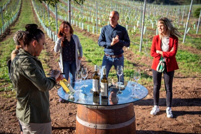 Premium Porto Santiago Compostela Tour Lunch & Wine Tasting - Itinerary