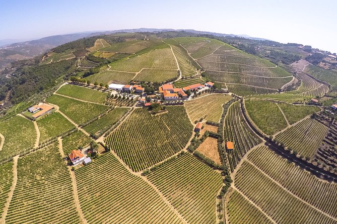 Premium Private Douro & Vinho Verde Tour: Wine Tastings & Lunch - Reviews and Feedback