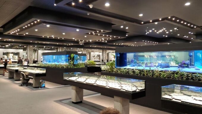 (Premium) Private Transfer to Phuket Gem Gallery Factory - Recap