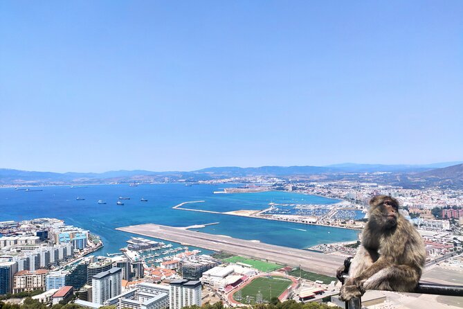 Premium Private Trip to Gibraltar From Seville (Various Options) - Cancellation Policy