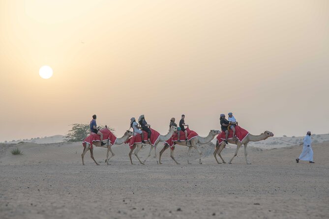 Premium Red Dunes Bashing With Quad Bike, Camel, Falcon &Vip Camp - Meals