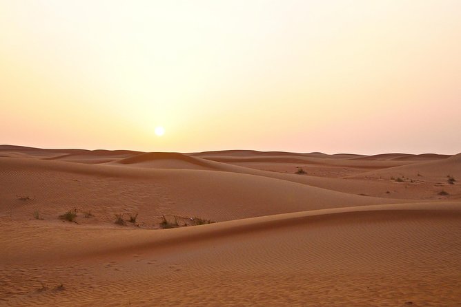 Premium Red Dunes Safari and Camel Safari With BBQ Dinner - Dining Experience