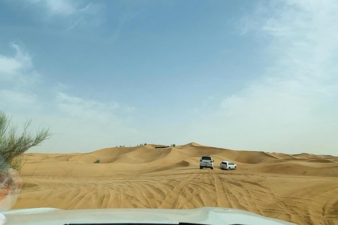 Premium Red Dunes Safari and Camel Safari With BBQ Dinner - Logistical Details