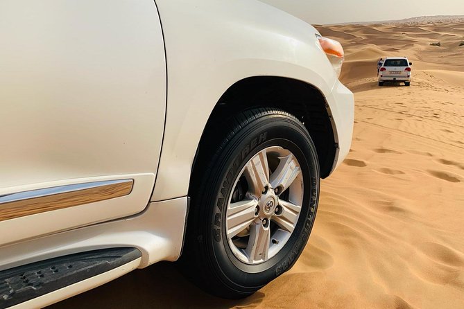 Premium Red Dunes Safari and Camel Safari With BBQ Dinner - Customer Reviews