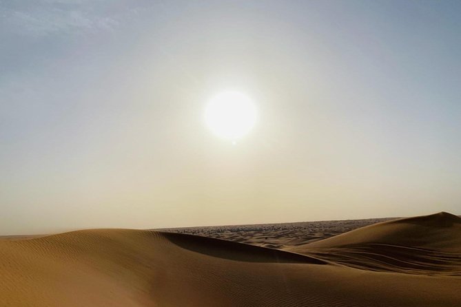 Premium Red Dunes Safari and Camel Safari With BBQ Dinner - Camel Ride