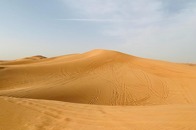 Premium Red Dunes Safari and Camel Safari With BBQ Dinner - Sand Boarding