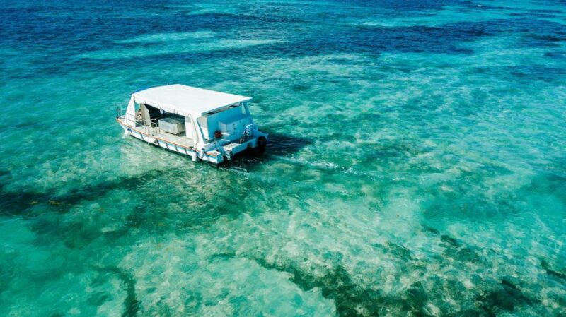 Premium Semi-Private Catamaran Cruise With Lunch - Experience Highlights