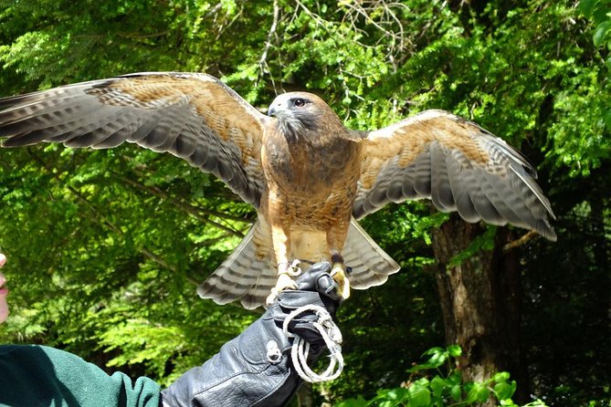 PREMIUM Sitka Scenic Tour - Additional Information