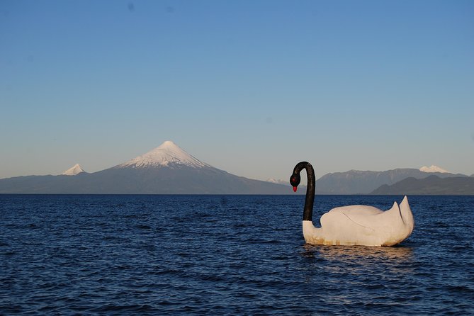 Premium Small-Group Half Day Tour to Frutillar in Puerto Varas - Tour Duration and Logistics