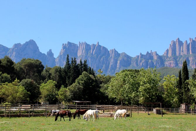 PREMIUM SMALL GROUP: Montserrat Horseback Riding & Monastery - Tour Overview