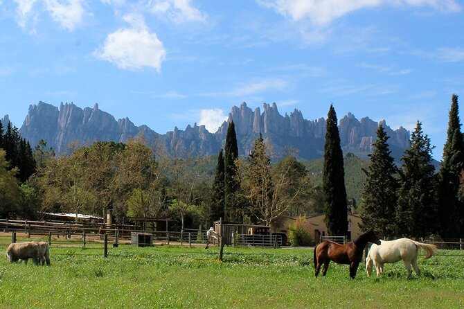 PREMIUM SMALL GROUP: Montserrat Horseback Riding & Monastery - Additional Information