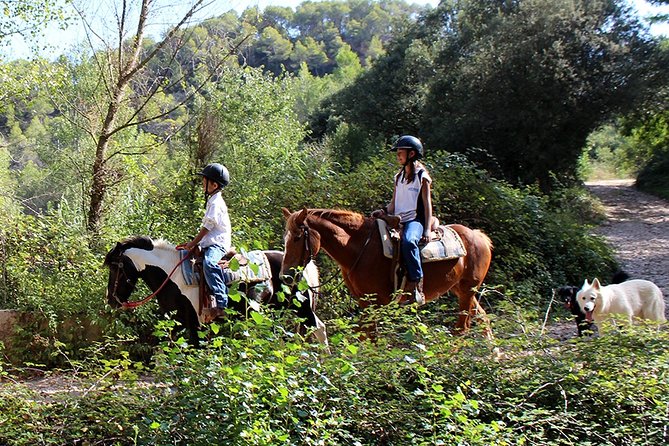 PREMIUM SMALL GROUP: Montserrat Horseback Riding & Monastery - Basilica of Montserrat Monastery