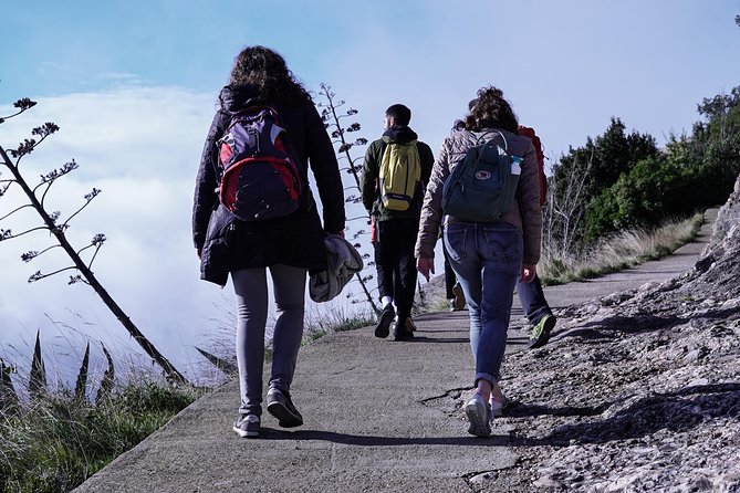 PREMIUM SMALL GROUP: Montserrat Monastery and Hiking Experience - Activity Details