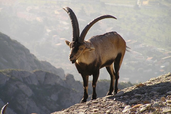 PREMIUM SMALL GROUP: Montserrat Monastery & Scenic Mountain Hike - Cancellation Policy