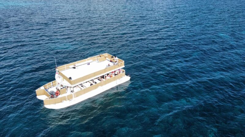 Premium Snacks and Open Bar on the Catamaran - Customer Feedback