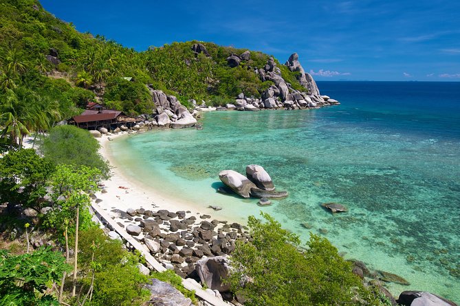 Premium Snorkel Tour to the Bays of Koh Tao Onboard the Oxygen - Tour Highlights