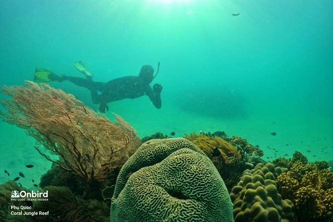 PREMIUM SNORKELING to Explore the Coral Jungle (MAX 8-9 PAX) - Snorkel Gear and Amenities
