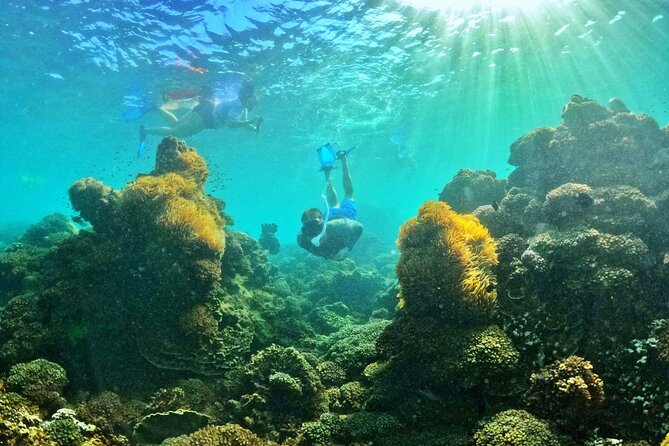 PREMIUM SNORKELING to Explore the Coral Jungle (MAX 8-9 PAX) - Booking and Cancellation Policy