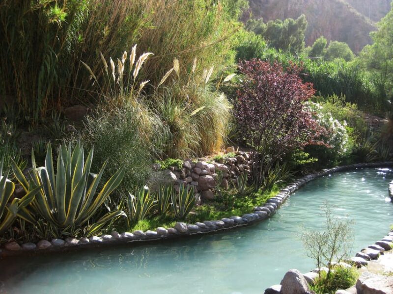 Premium Spa Day at Cacheuta Hot Springs From Mendoza - Inclusions and Additional Information