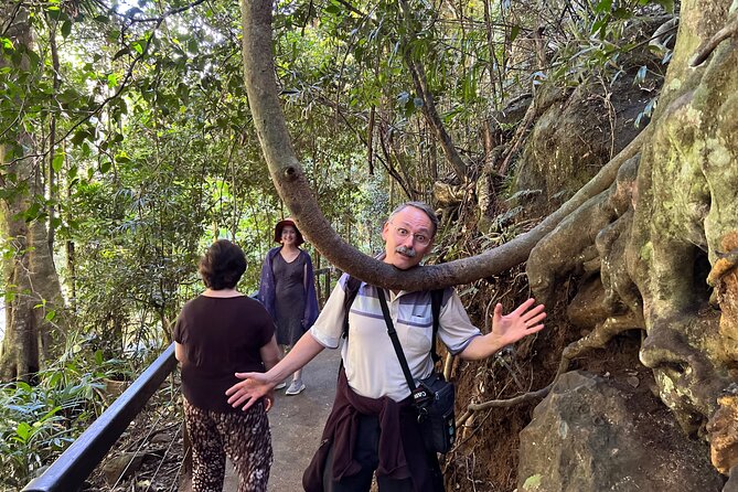 Premium Springbrook Natural Bridge, Glow Worm Cave & Skywalk - Included Cafe-Style Meal