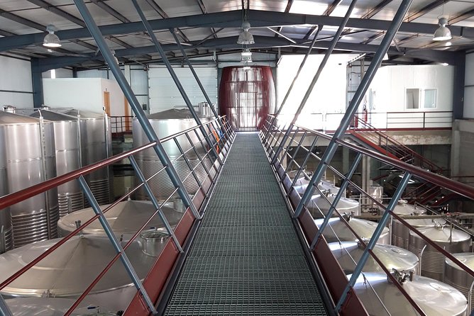 Premium Tasting | Quinta De Santa Cristina Vinho Verde - Personalized Sightseeing Experience