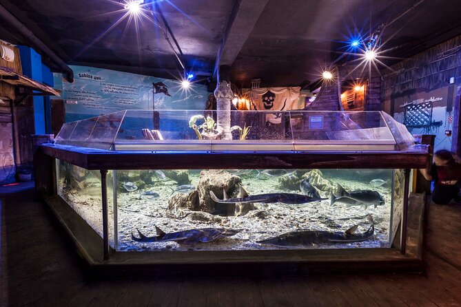 Premium Ticket Sea Life Benalmádena - About Your Stay
