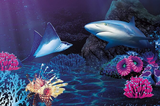 Premium Ticket Sea Life Benalmádena - Cancellation Policy