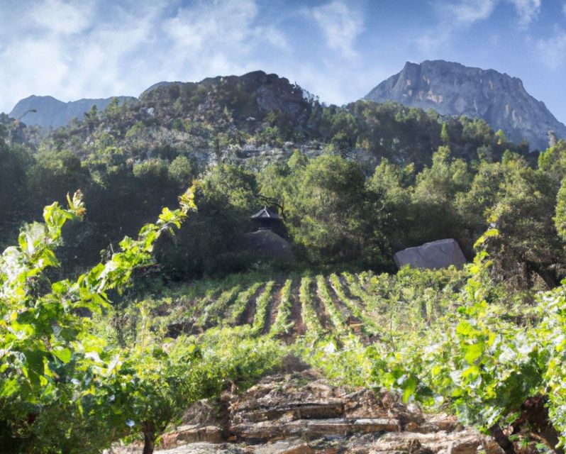 Premium Tour of Olympia: History and Wine Tasting Experience - Temple of Zeus and Hera