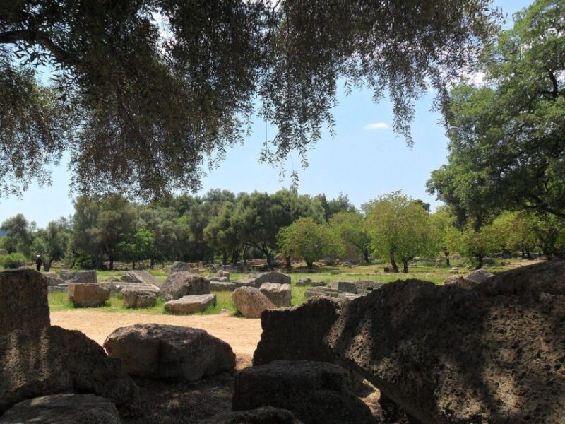 Premium Tour of Olympia: History and Wine Tasting Experience - Wine Tasting Experience