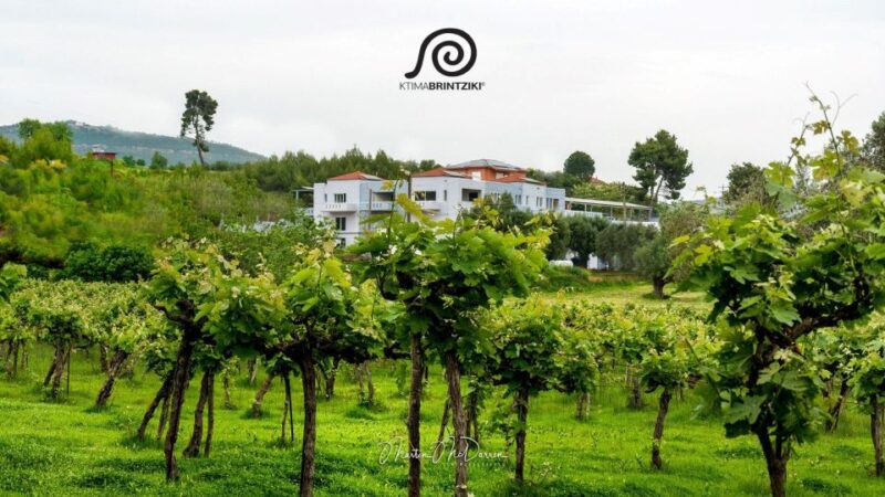 Premium Tour of Olympia: History and Wine Tasting Experience - Art of Winemaking