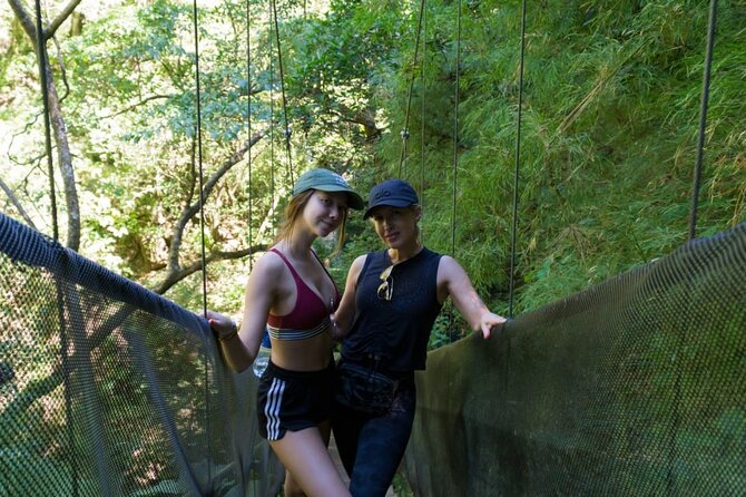 Premium Tour: Rincón De La Vieja Volcano and Waterfall Hiking - Customer Reviews and Feedback