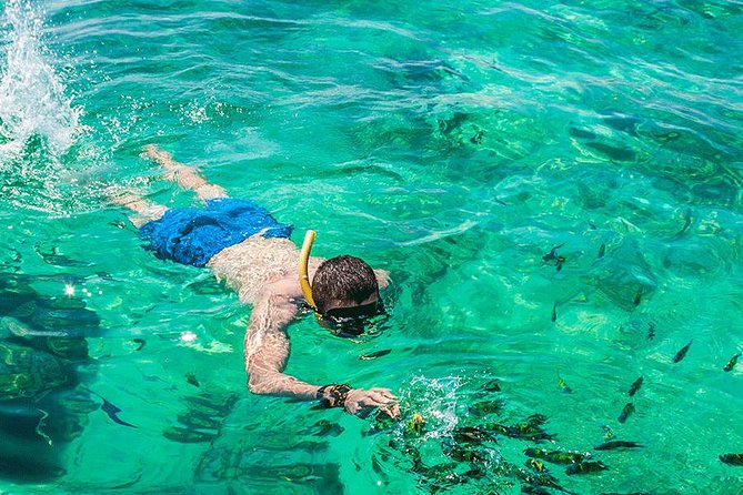 Premium Tour to Phi Phi & Bamboo Island Tours by Speed Boat - Snorkeling Opportunities