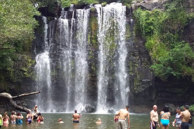 Premium Tour:Sloths and Río Celeste Y Cortez Waterfalls (Tenorio Volcano Park) - Reviews and Ratings